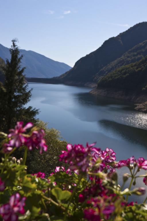 Hotel Al Lago Vogorno Exterior foto